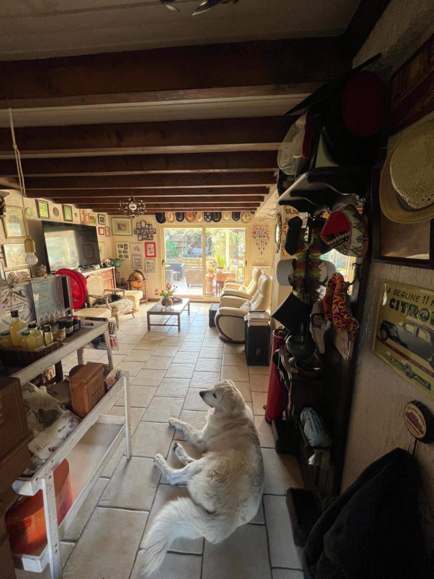 La Maison Du Bonheur Saintry-sur-Seine Eksteriør bilde
